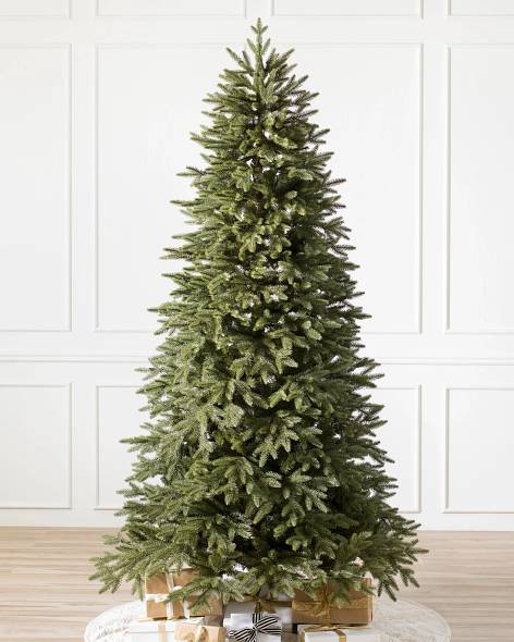 Stratford Spruce Tree-1